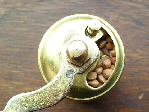 Whole mahleb kernels in a spice grinder