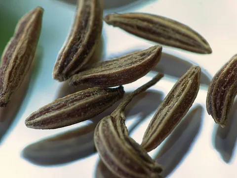 Close photograph of whole caraway seeds
