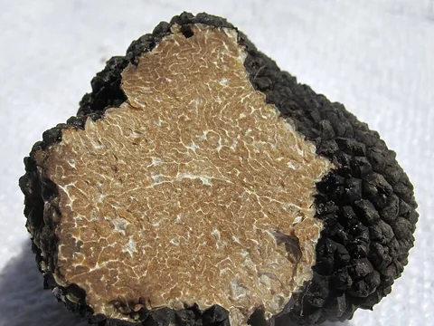 Cut black summer truffle (Tuber aestivum) ingredient reference