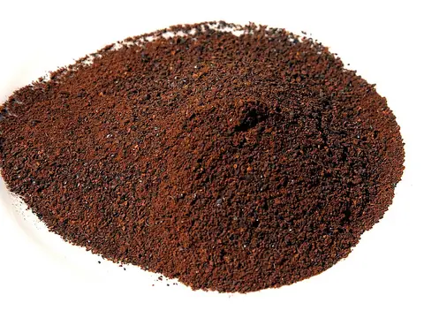 Roasted ground Acacia victoriae wattleseed