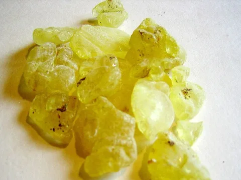 Loose mastic resin chunks on a white background