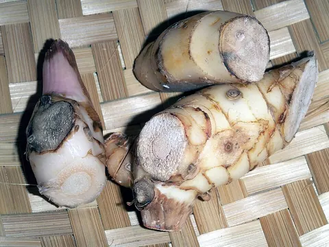 Pieces of whole galangal root